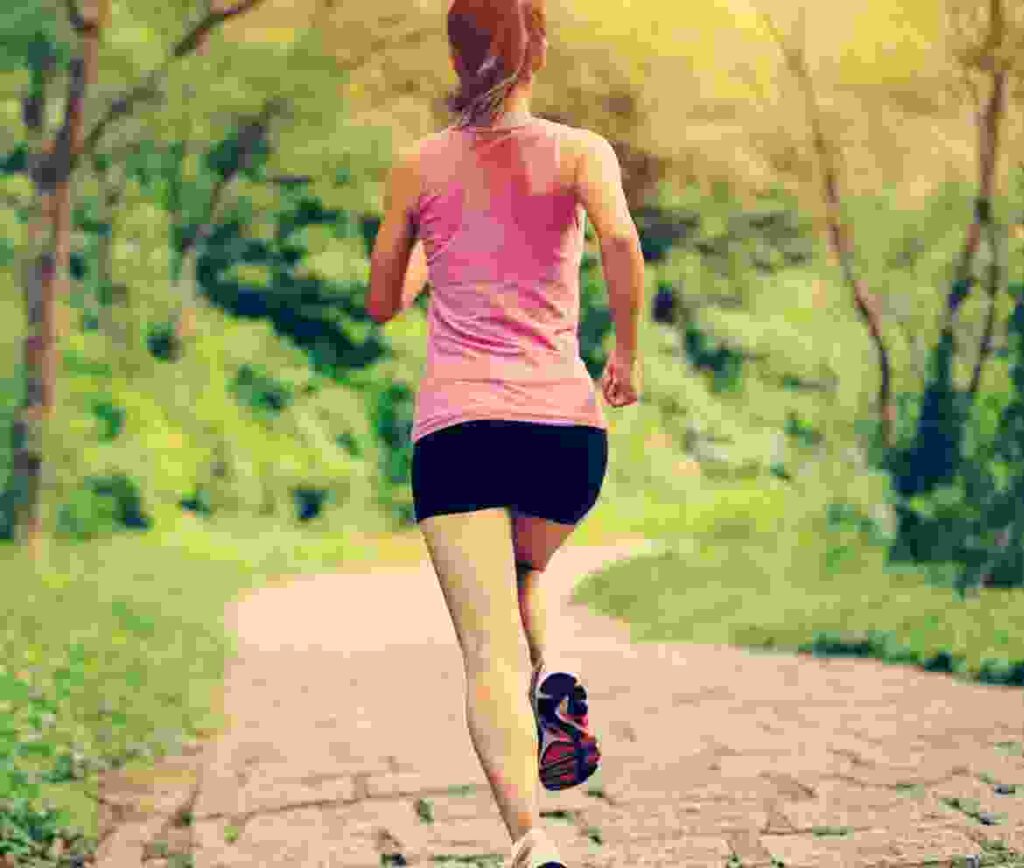 Snow Adventure gallery image 2