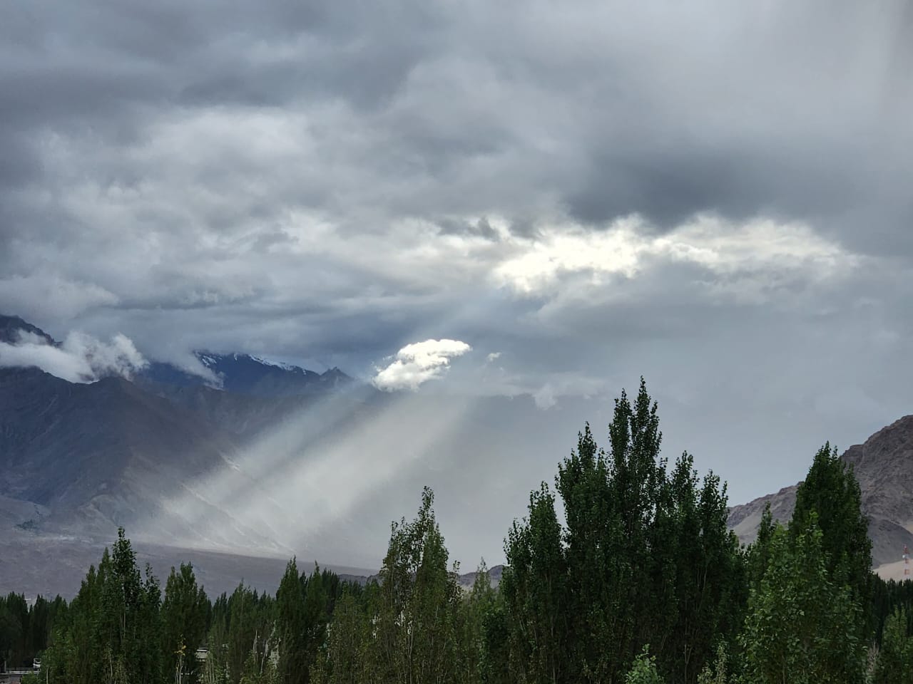 WhatsApp Image 2025-09-08 at 16.16.52_6197ecc5