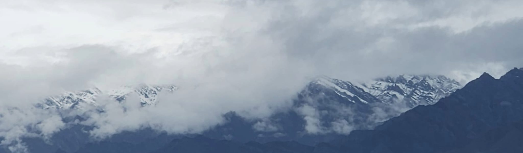 Adobe Express - file